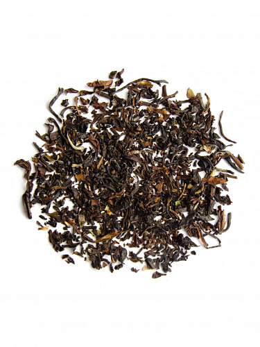 Wellness Cup 